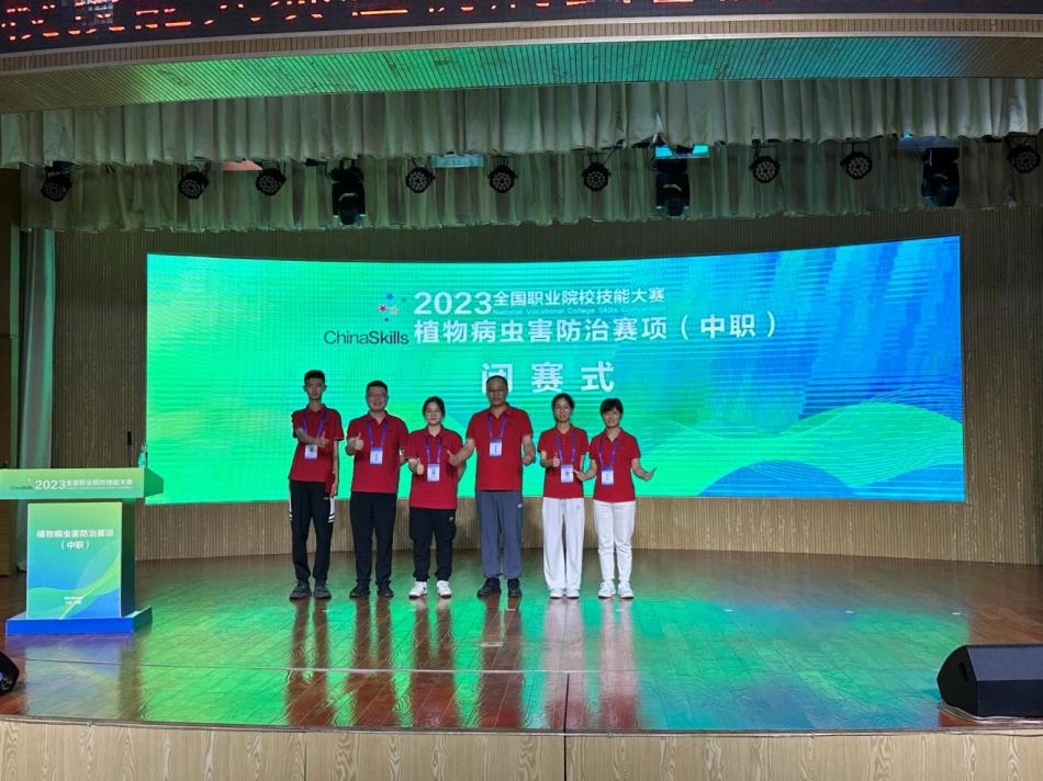 一群人在游泳 描述已自动生成