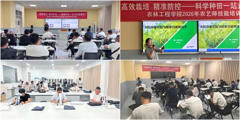 WPS拼图0.png